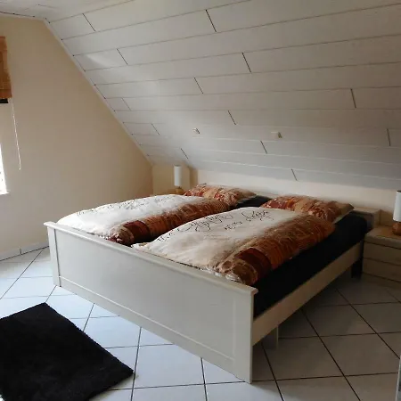 Modernes Der Besonderen Art Mit Garten