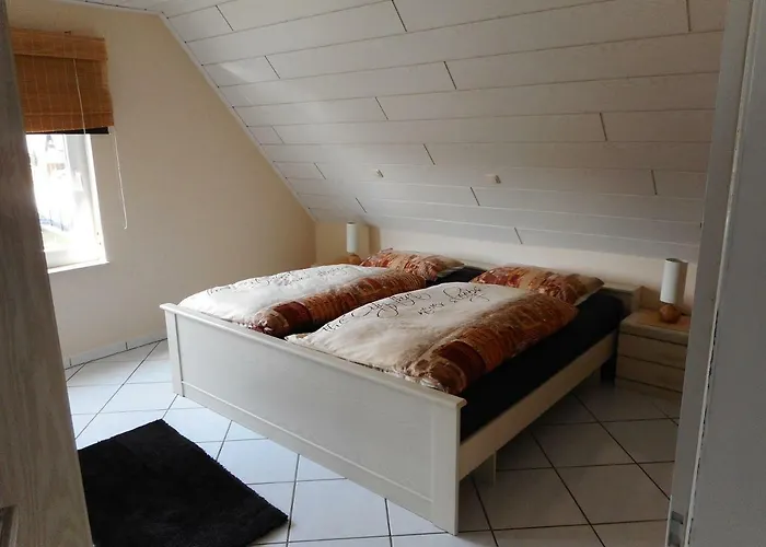 Modernes Der Besonderen Art Mit Garten